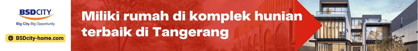 BSD City
